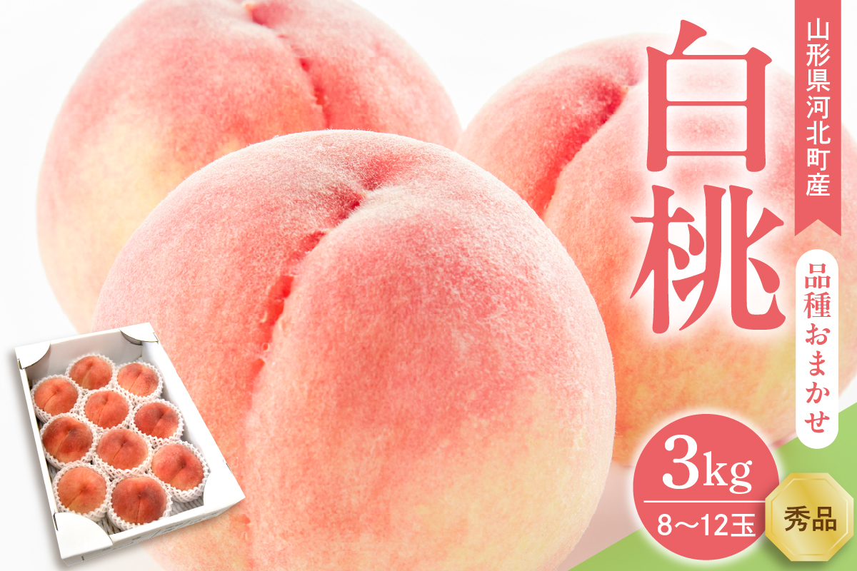 【令和8年産】白桃 品種おまかせ 3kg (8〜12玉前後) ギフト箱入 秀品 山形県産  【山形eLab】ka074-008-r8