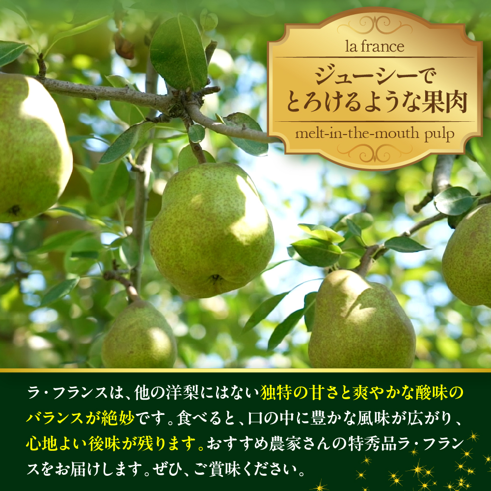 【令和8年産】食べ頃がわかる！ 洋梨「ラ・フランス」 特秀 約5kg 山形県河北町産 【河北町観光物産協会】　ka002-003-r8