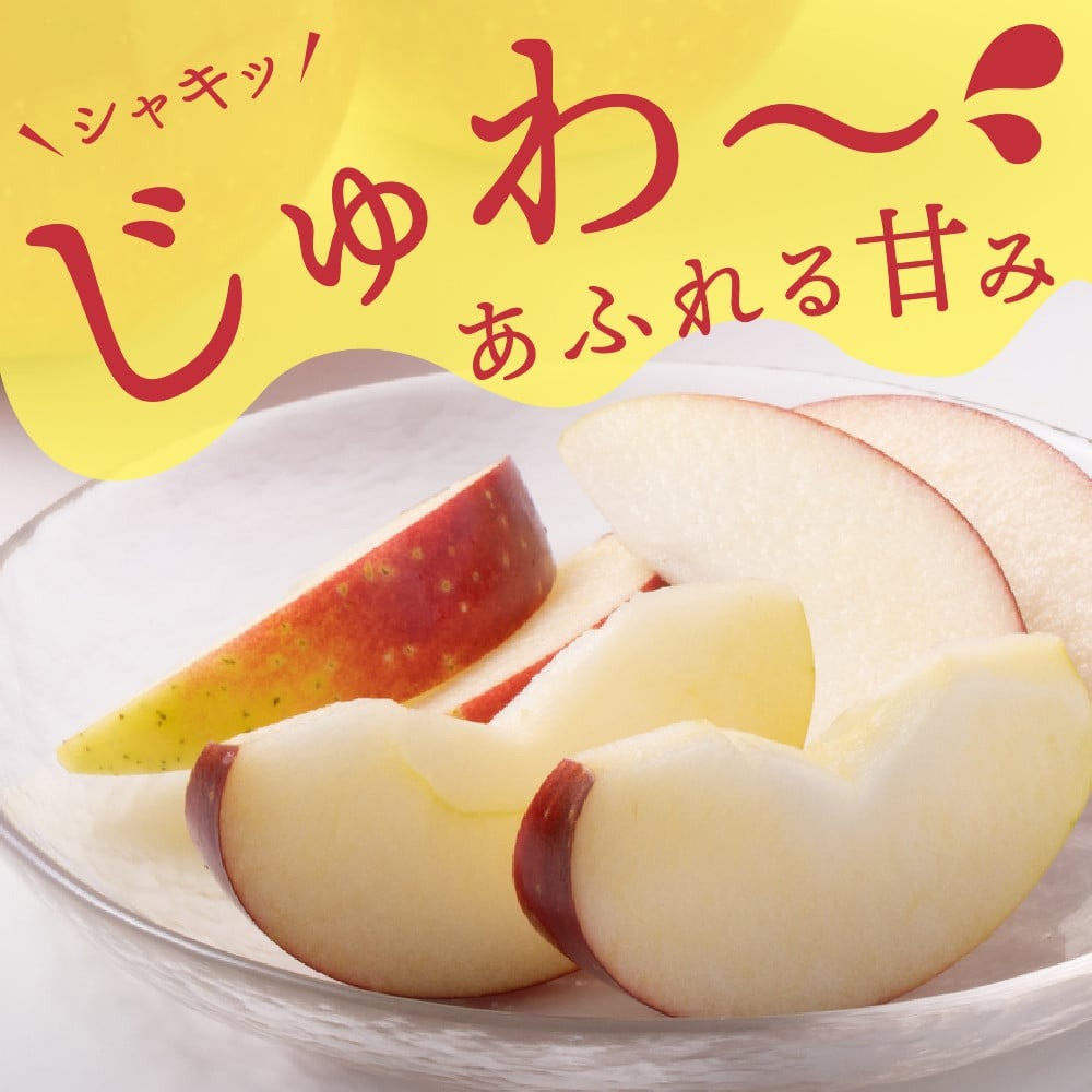 【令和8年産】ふじりんご 5kg 丸秀 山形県産 【JAさがえ西村山】 山形県 河北町 贈答 ふじ 農協 りんご 林檎 ギフト ka008-018e-r8