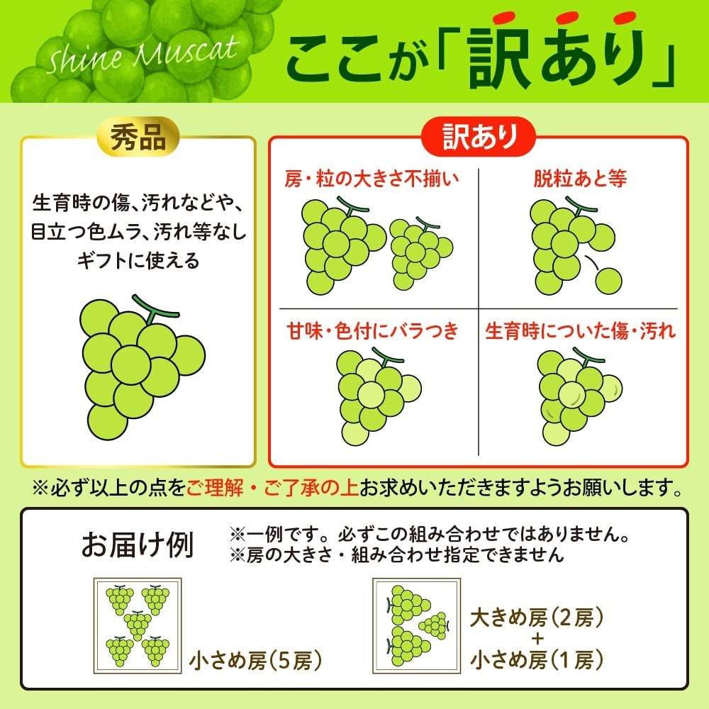 【訳あり 令和8年産】 ぶどう シャインマスカット 約1.8kg(3～5房) 山形県河北町産【山形eLab】 ka074-021-r8