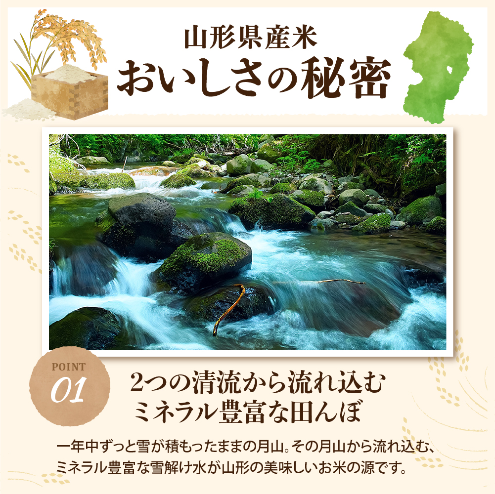 【令和8年産米】2026年12月中旬発送 はえぬき20kg 山形県産 【米COMEかほく協同組合】