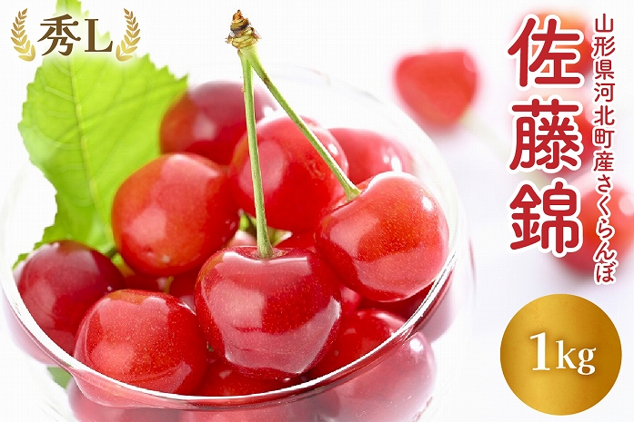 【令和7年産】さくらんぼ「佐藤錦」秀L 1kg【かほくらし社】