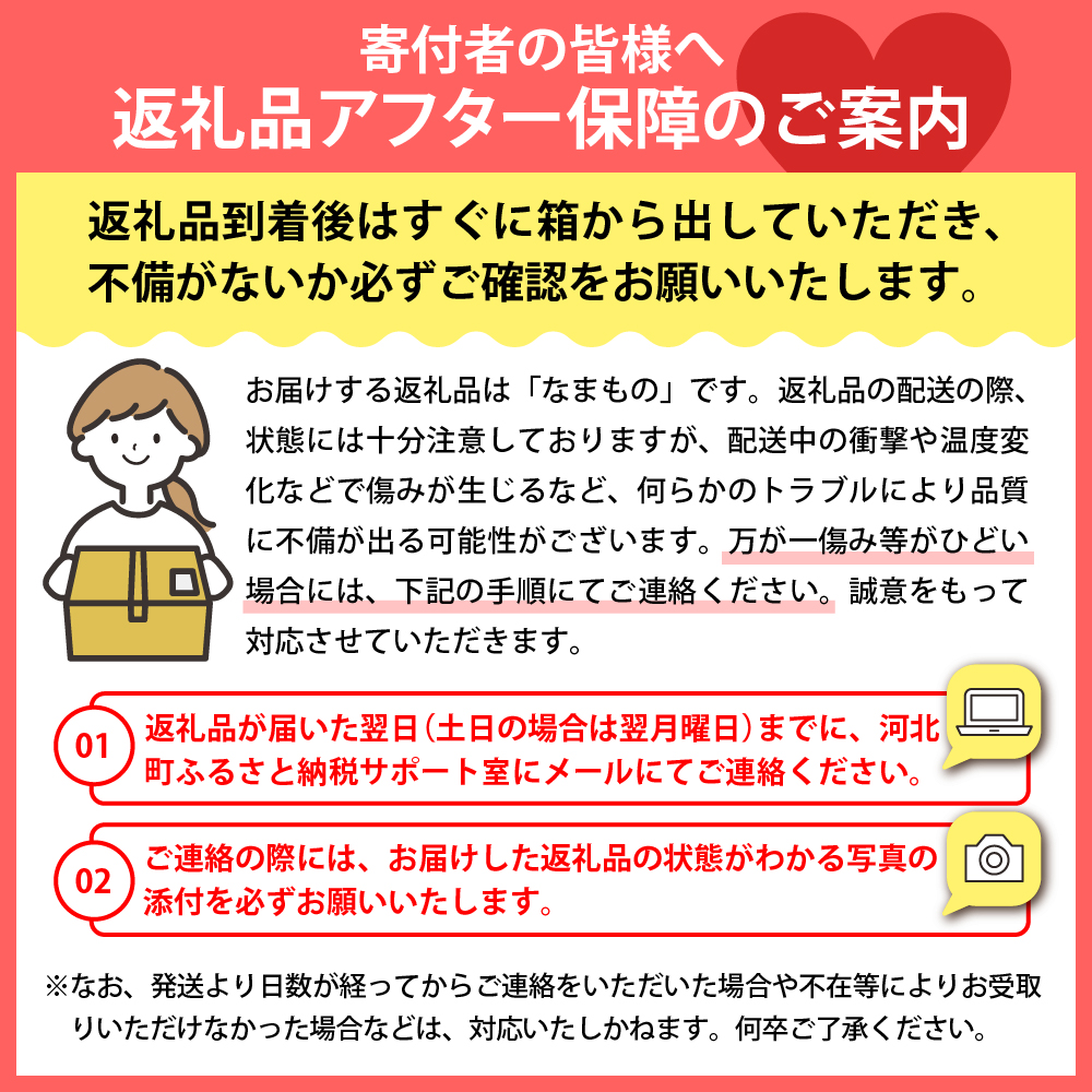 【令和7年産】川中島白桃 約5kg（13玉～16玉）山形県河北町産 【河北町観光物産協会】