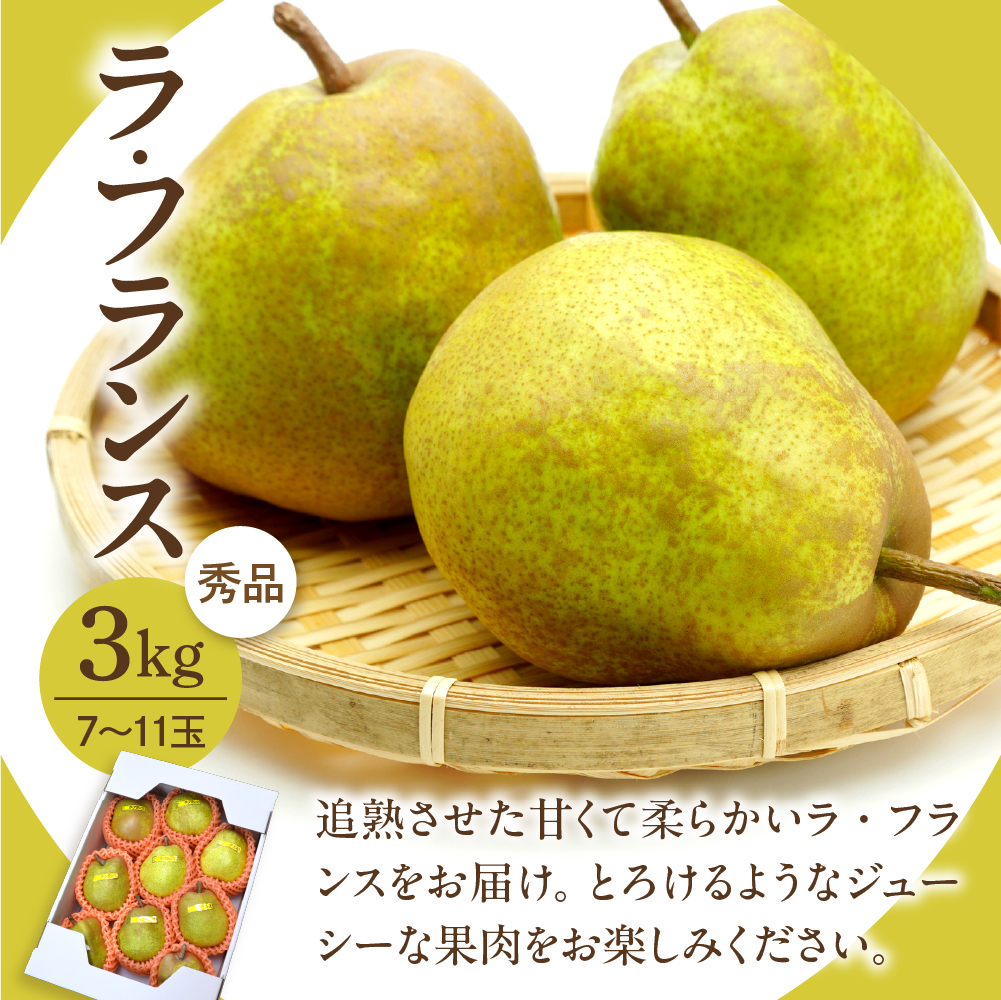 【令和8年産】河北町の山形らしいフルーツ定期便 3回(シャインマスカット・ラフランス・サンふじ)【山形eLab】 ka074-029-r8