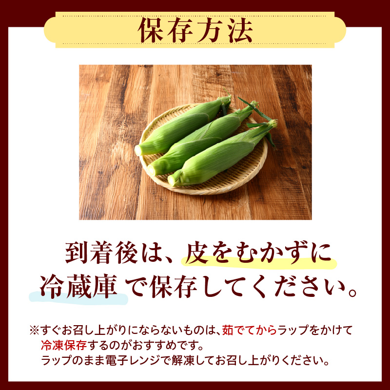 【令和8年産】とにかく甘い、朝採りとうもろこし「フルーツコーン」 13本 【かほくらし社】 ka019-014-13-r8