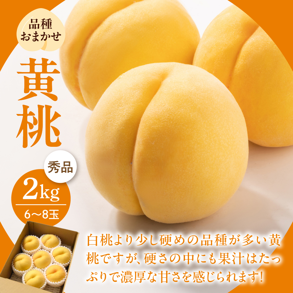 ã什å8幎ç£ã8æãã人æ°ãã«ãŒãããå±ãïŒãåãå¯ããã«ãŒãå®æäŸ¿ 3å (çœæ¡ã»é»æ¡ã»ã·ã£ã€ã³ãã¹ã«ãã)ã山圢eLabã ka074-028-r8