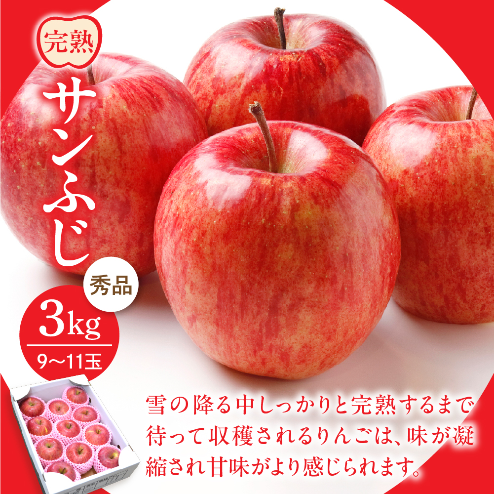 【令和8年産】河北町の山形らしいフルーツ定期便 3回(シャインマスカット・ラフランス・サンふじ)【山形eLab】 ka074-029-r8