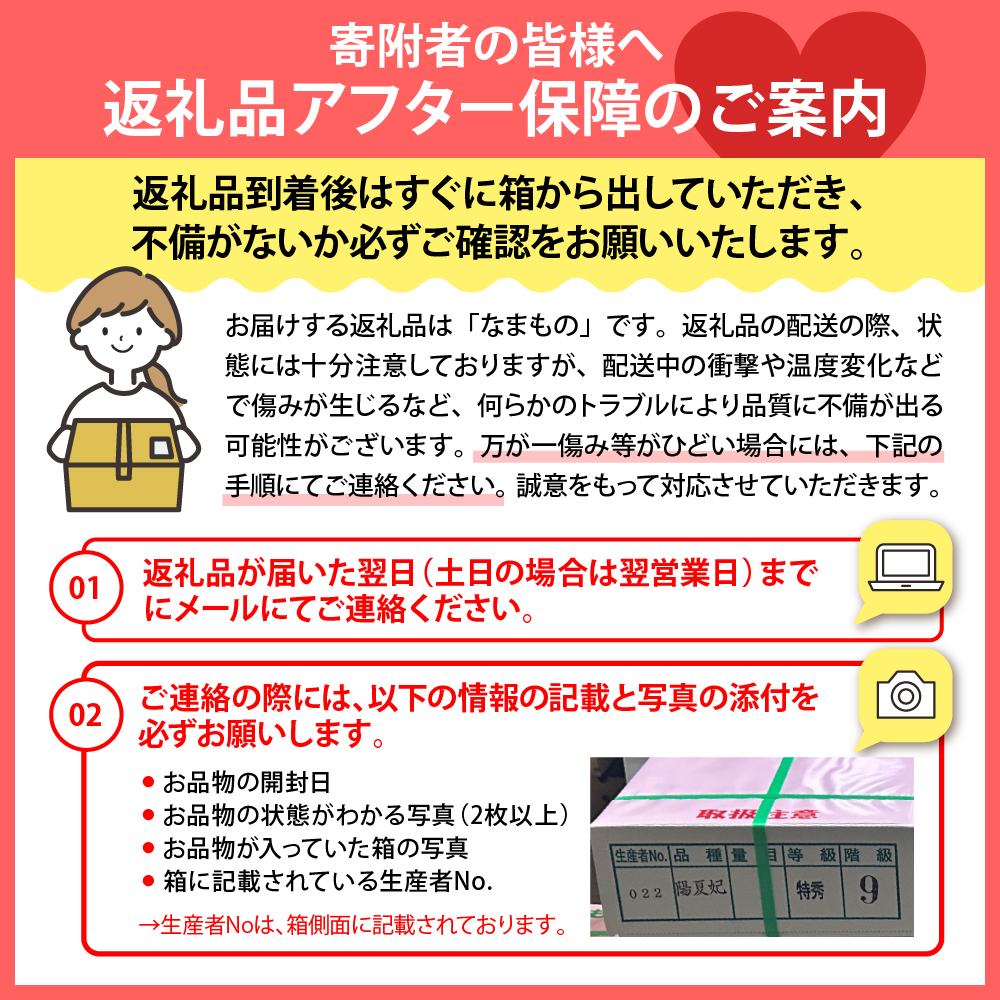 【令和7年産】さくらんぼ「佐藤錦」秀L 1kg【かほくらし社】