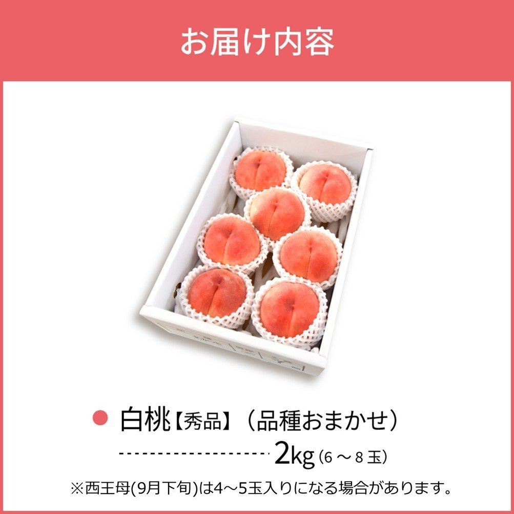 【令和8年産】白桃 品種おまかせ 2kg (6～8玉前後) ギフト箱入 秀品 山形県河北町産 【山形eLab】 ka074-026-r8