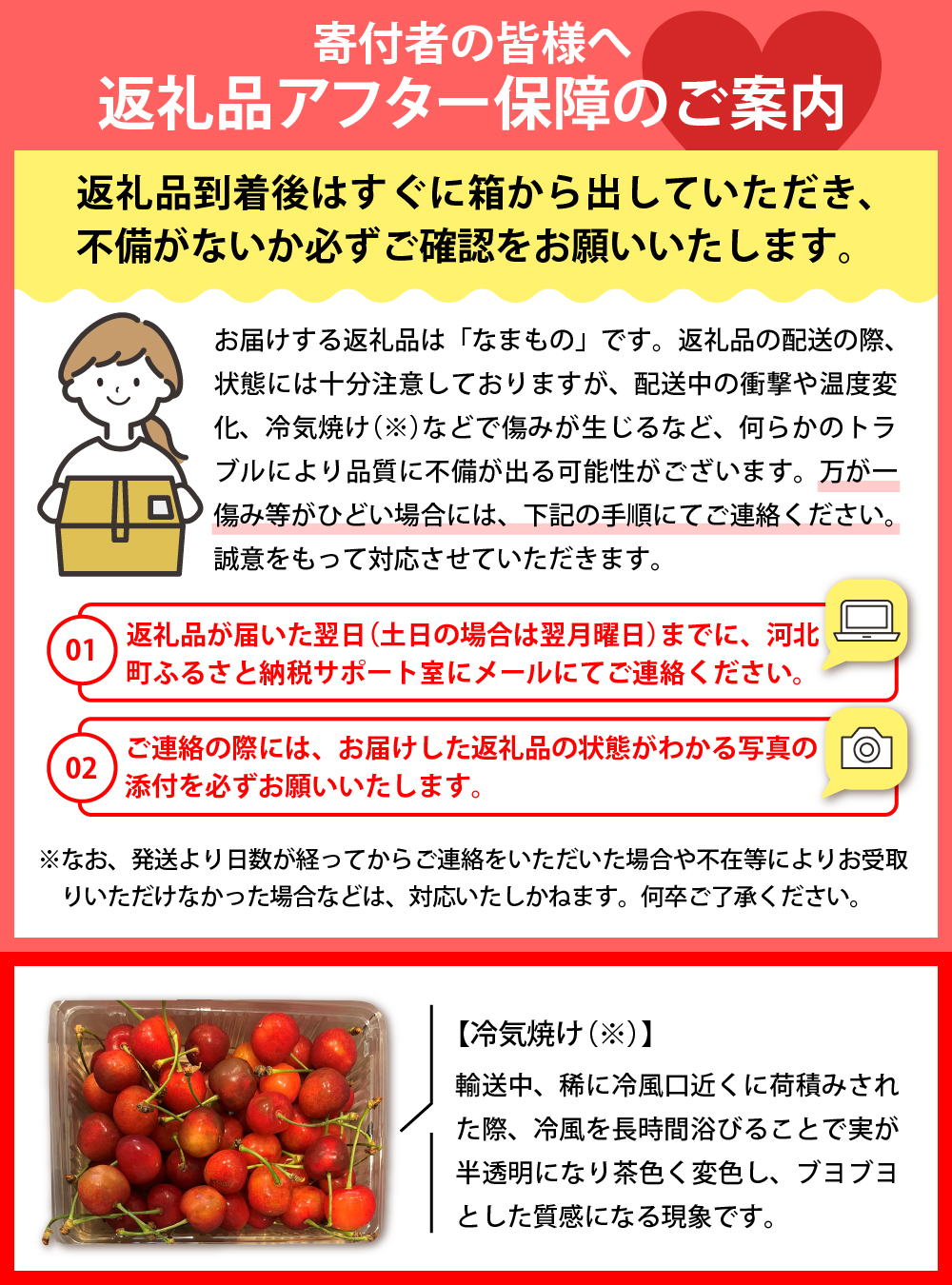 【令和7年産先行予約】さくらんぼ佐藤錦 秀L1kg以上(500gバラ詰め×2パック)山形県河北町産【晴天畑】