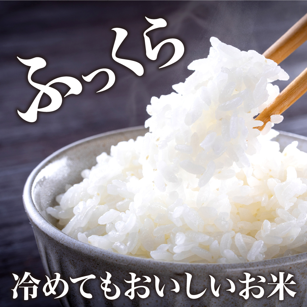 縲蝉サ、蜥8蟷エ逕」邀ウ縲2027蟷エ1譛井ク区流逋コ騾 縺ッ縺医〓縺60kgシ20kgテ3繝カ譛茨シ画ッ取怦螳壽悄萓ソ 螻ア蠖「逵檎肇 縲千アウcome縺九⊇縺丞鵠蜷檎オ蜷医 ka024-113d-r8-01033