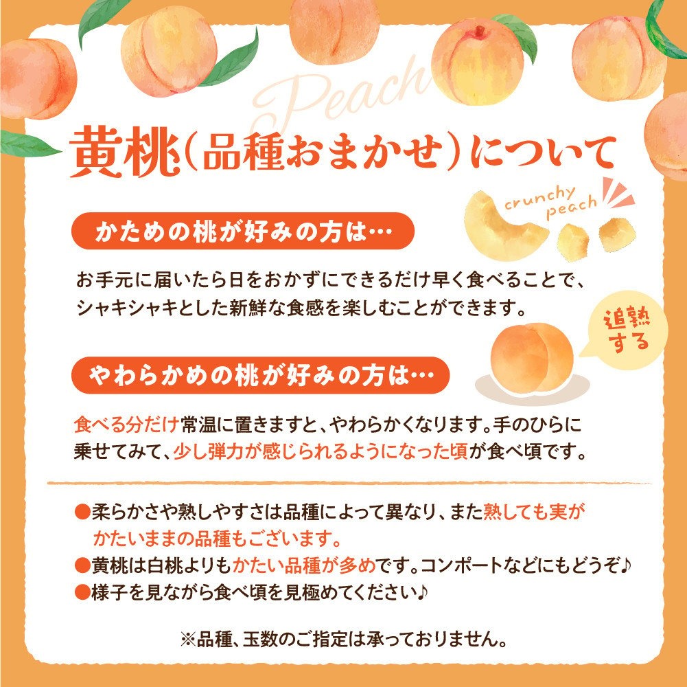 ã什å8幎ç£ã黿¡ åçš®ããŸãã 2kg (6ïœ8çååŸ) ã®ããç®±å
¥ ç§å å±±åœ¢çæ²³åçºç£ ã山圢eLabã ka074-027-r8