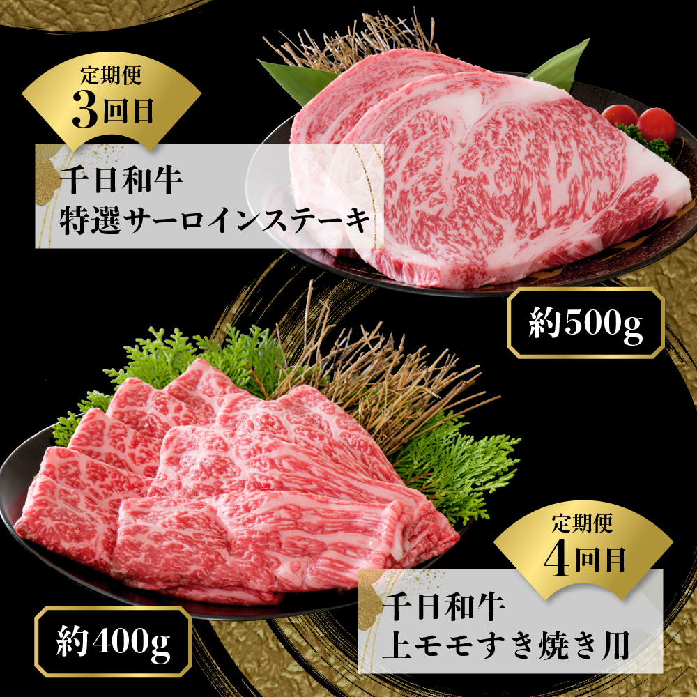 【数量限定】★肉の至宝★ 幻の山形牛【千日和牛】旨味とろける極上和牛10ヶ月定期便