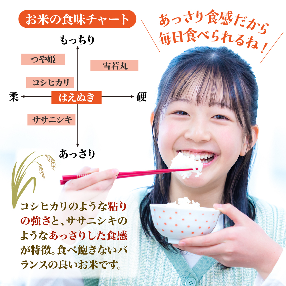 【令和8年産米】2027年5月中旬発送 はえぬき10kg 山形県産 【米COMEかほく協同組合】