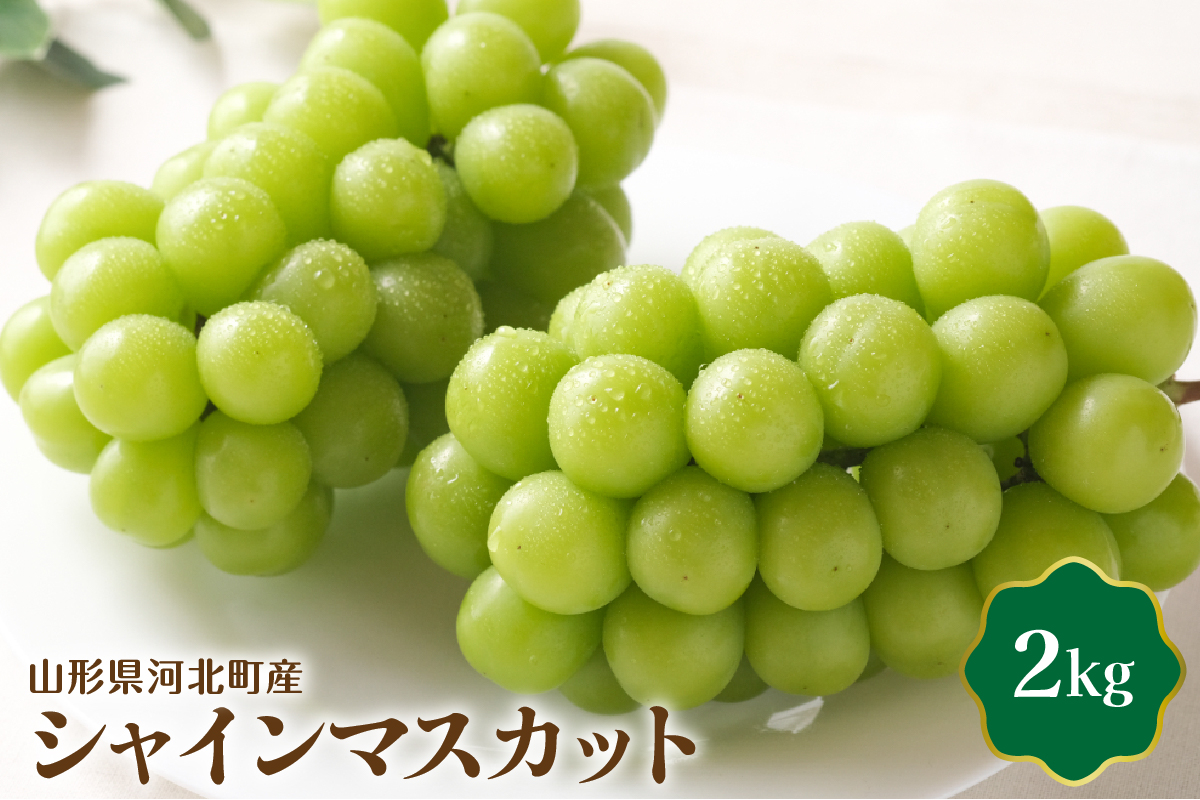 【令和8年産】シャインマスカット 2kg（2～4房） 山形県河北町産【JAさがえ西村山】 ka008-015e-r8