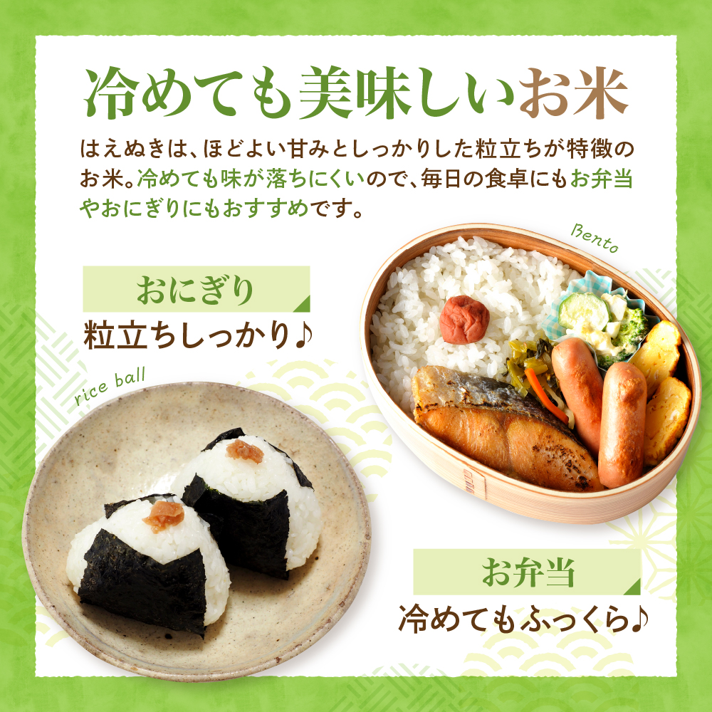 【令和7年産米】2026年4月下旬発送 はえぬき5kg 山形県産 【JAさがえ西村山】