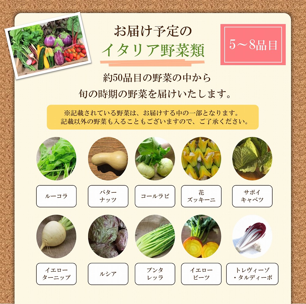 かほくイタリア野菜旬のおまかせBOX（約5〜8種類） 野菜の説明&おしゃれな料理が簡単に作れちゃうレシピ付き♪