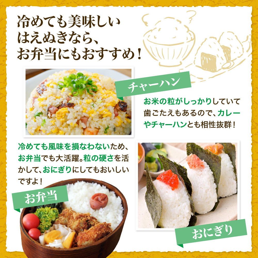 【令和8年産米】2027年5月上旬発送 はえぬき20kg 山形県産 【米COMEかほく協同組合】