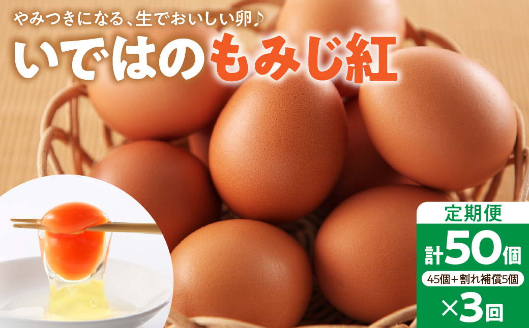 【毎月定期便】いではのもみじ紅50個入り（破損補償5個を含む）×3回