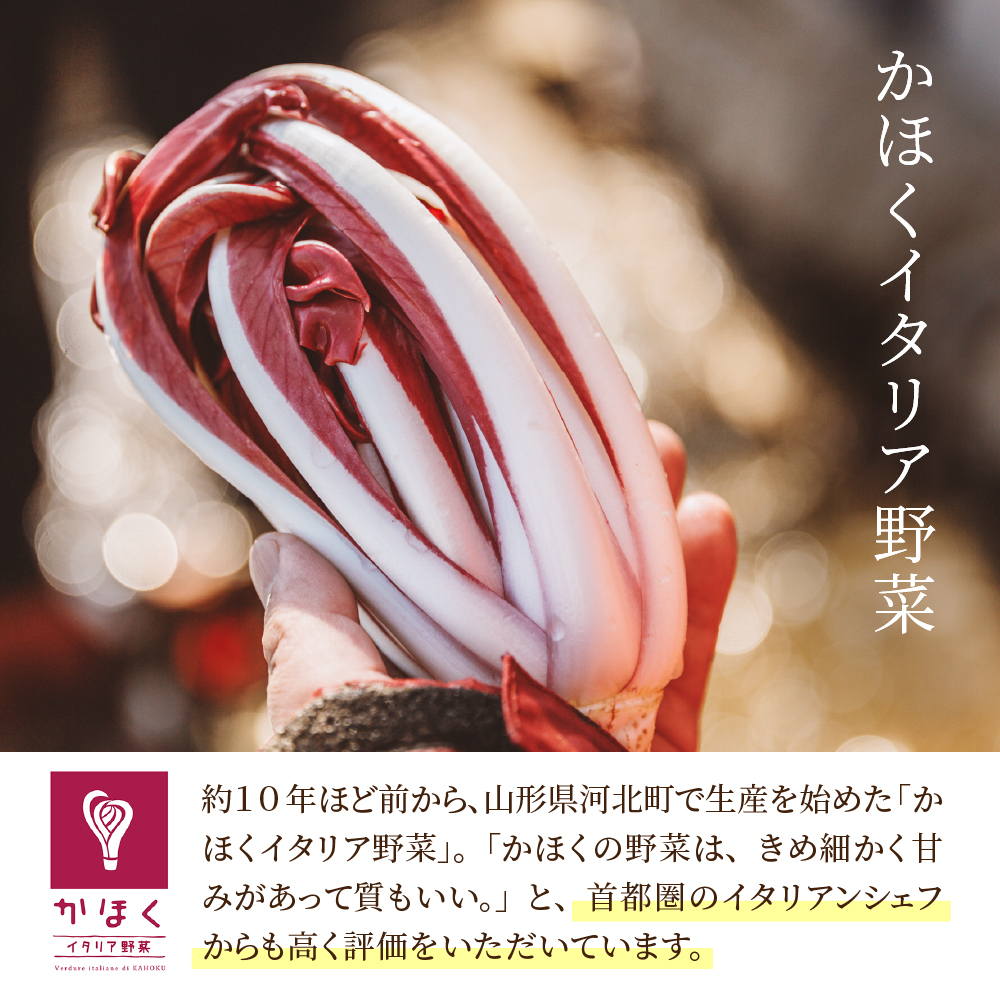 かほくイタリア野菜旬のおまかせBOX（約8〜10種類） 野菜の説明&おしゃれな料理が簡単に作れちゃうレシピ付き♪