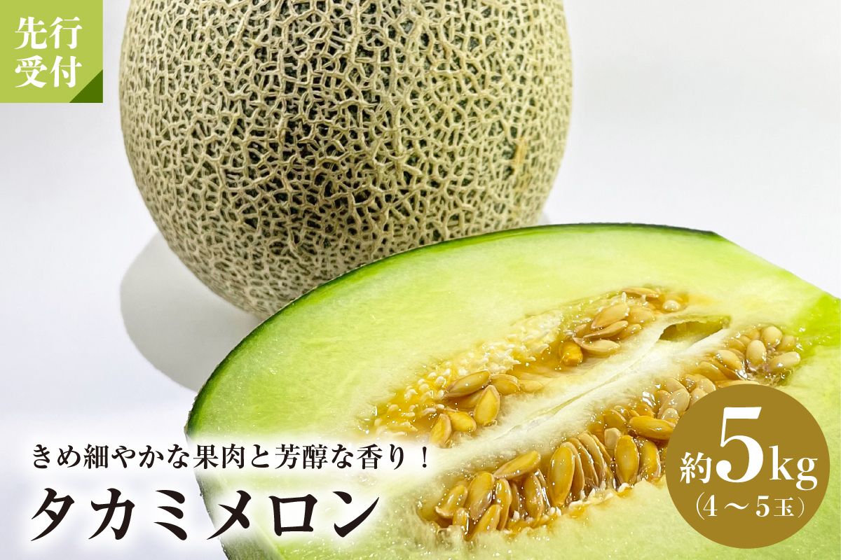 【令和7年産】タカミメロン 約5kg（4玉～5玉）山形県河北町産【JAさがえ西村山】
