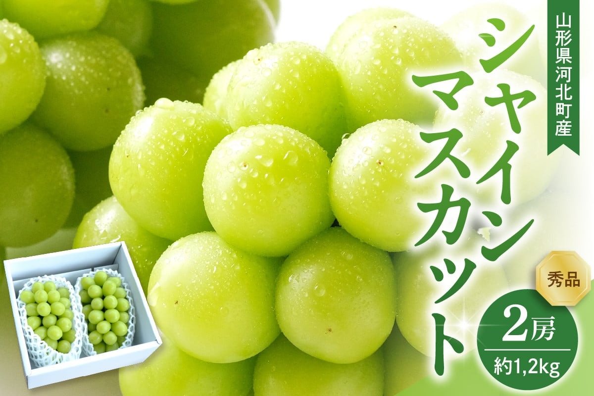 【令和8年産】 ぶどう シャインマスカット 2房入り（1房600g前後） 秀品 山形県河北町産【山形eLab】 ka074-023-r8