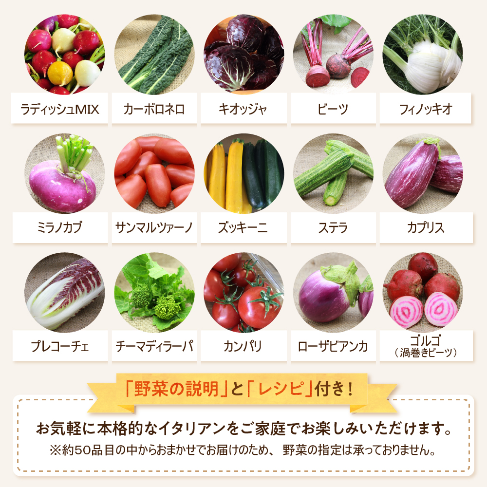 かほくイタリア野菜旬のおまかせBOX（約8〜10種類） 野菜の説明&おしゃれな料理が簡単に作れちゃうレシピ付き♪