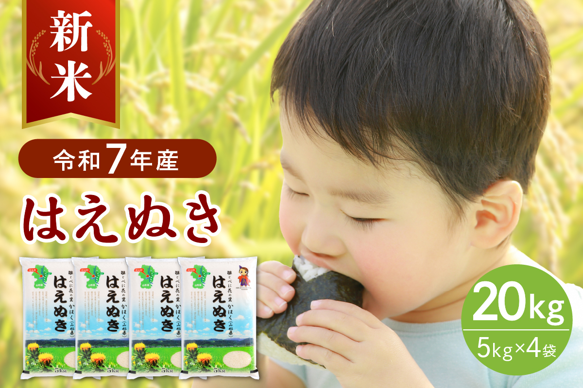 【令和7年産米】2025年12月上旬発送 はえぬき20kg（5kg×4袋） 山形県産 【JAさがえ西村山】