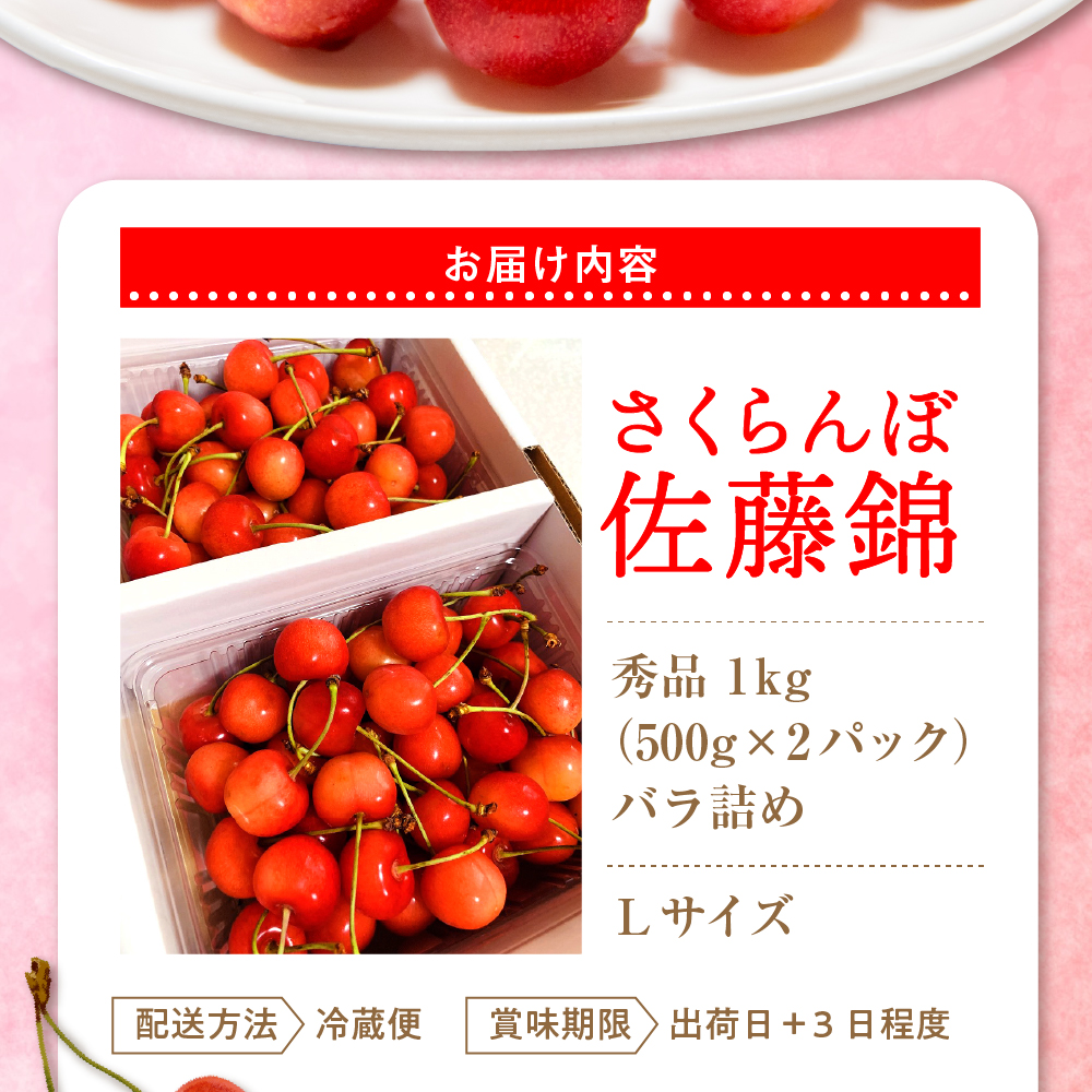 【令和7年産】朝採り＆当日出荷！イチ押し農家さんの朝採りさくらんぼ「佐藤錦」秀品 1kg（500g×2パック）バラ詰め 山形県河北町産【河北町観光協会】