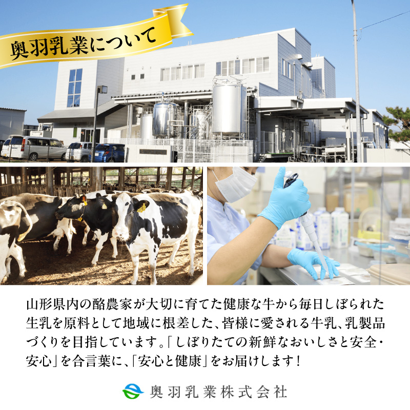 縺ョ繧繝ィ繝シ繧ー繝ォ繝1シ750mlテ4譛ャシ