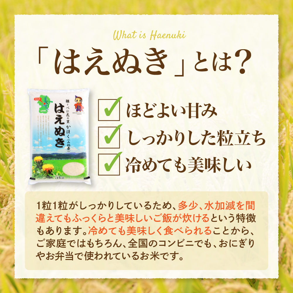 【令和7年産米】2026年4月上旬発送 はえぬき20kg（5kg×4袋） 山形県産 【JAさがえ西村山】