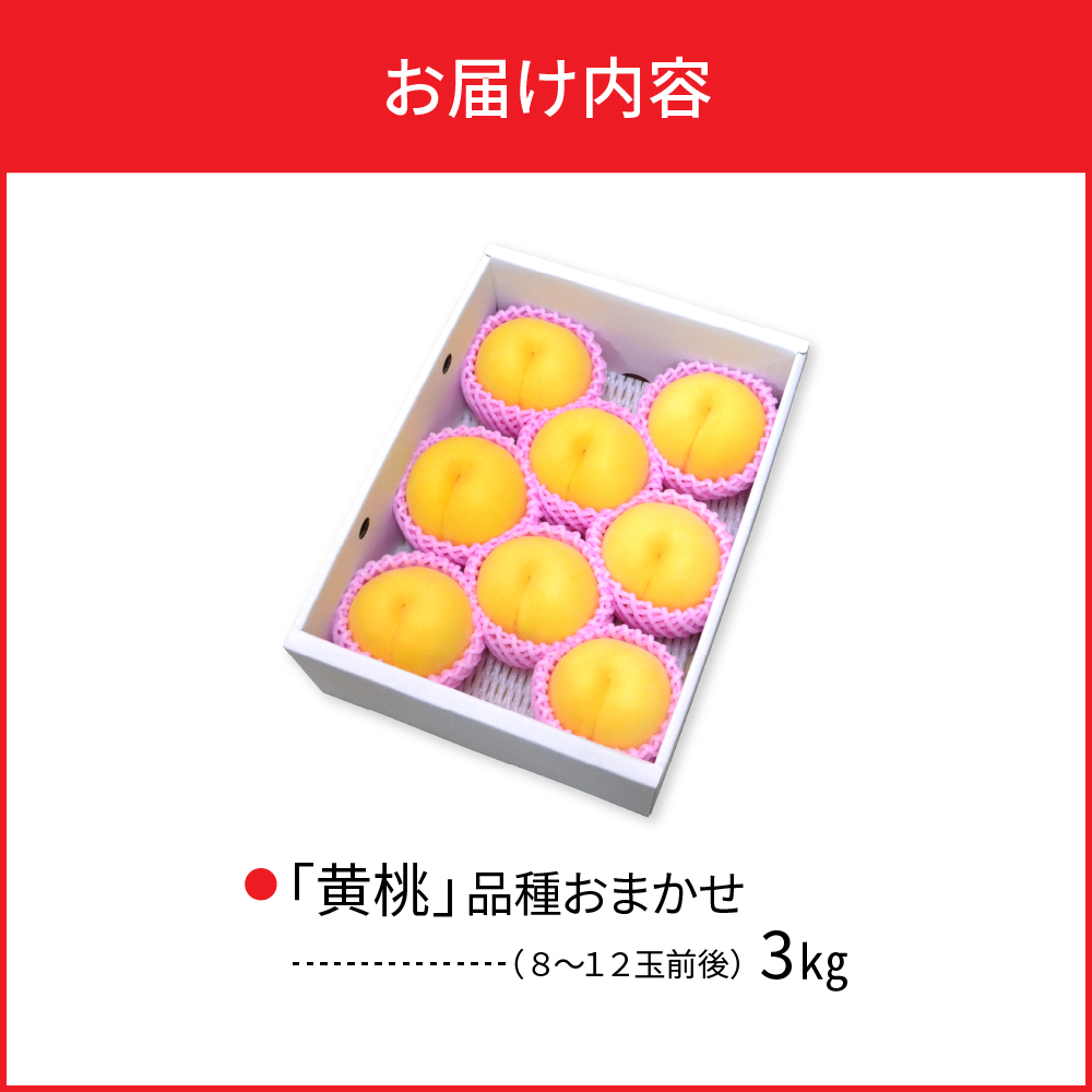 【令和8年産】黄桃 品種おまかせ 3kg (8〜12玉前後) ギフト箱入 秀品 山形県産  【山形eLab】ka074-009-r8