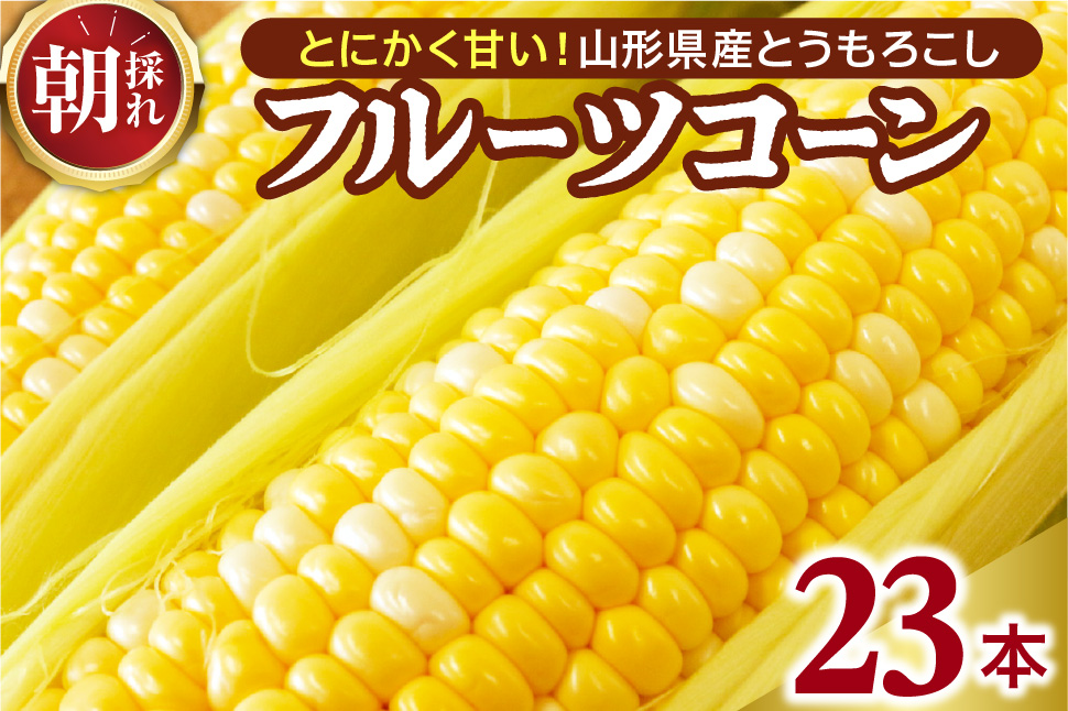 【令和8年産】とにかく甘い、朝採りとうもろこし「フルーツコーン」 23本 【かほくらし社】 ka019-014-23-r8