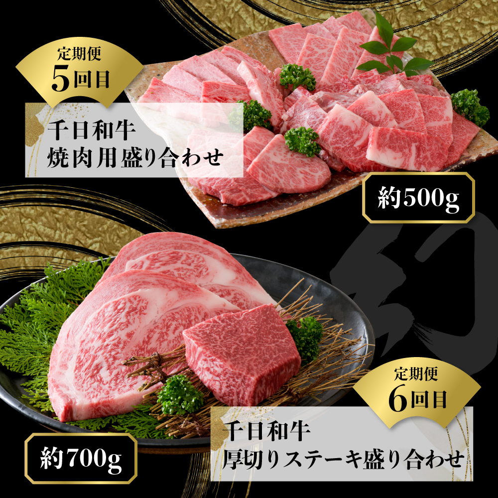 【数量限定】★肉の至宝★ 幻の山形牛【千日和牛】旨味とろける極上和牛10ヶ月定期便