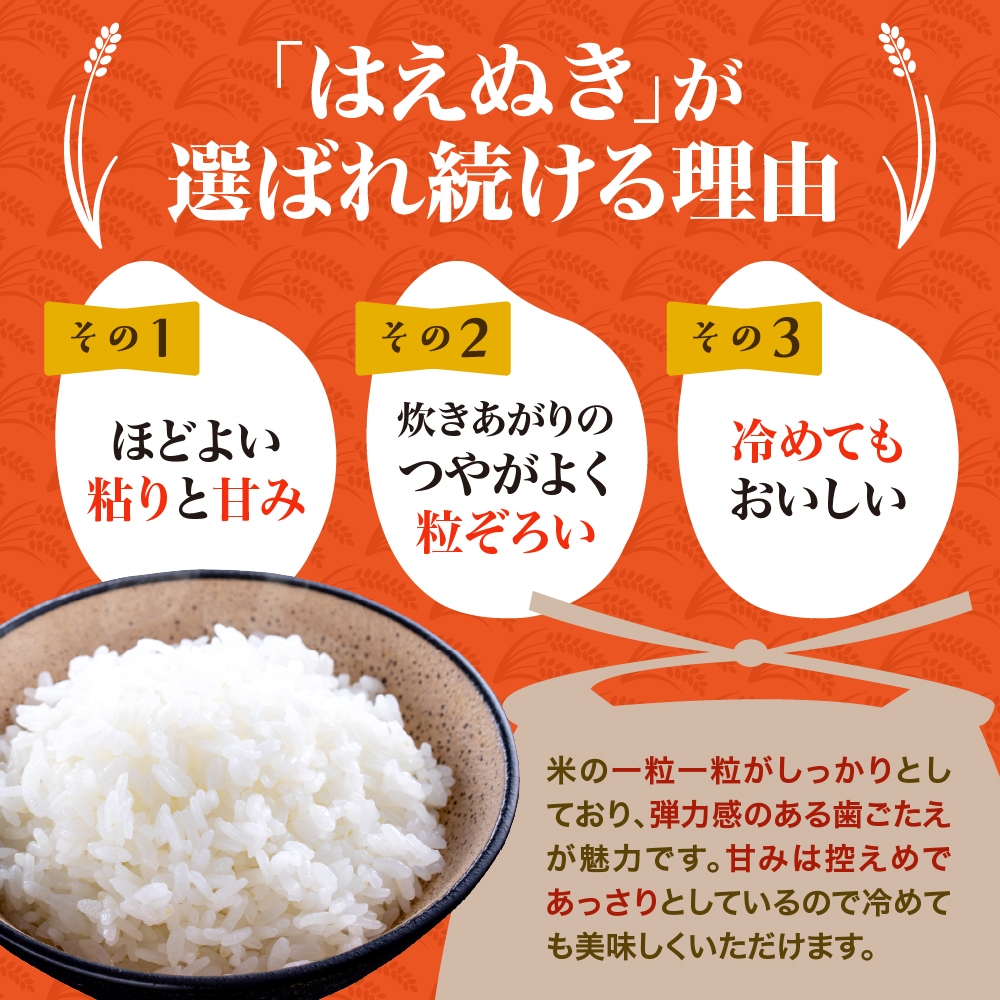 【令和8年産米】2027年1月上旬発送 はえぬき10kg 山形県産 【米COMEかほく協同組合】