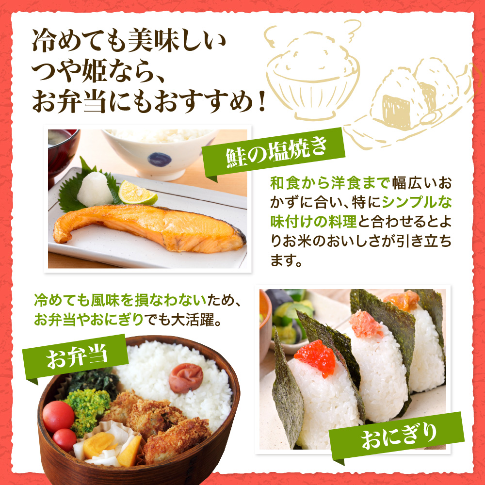 【令和8年産米】2026年11月中旬発送 特別栽培米 つや姫60kg(20kg×3ヶ月)隔月定期便 山形県産 【米comeかほく協同組合】 ka024-116d-r8-11032