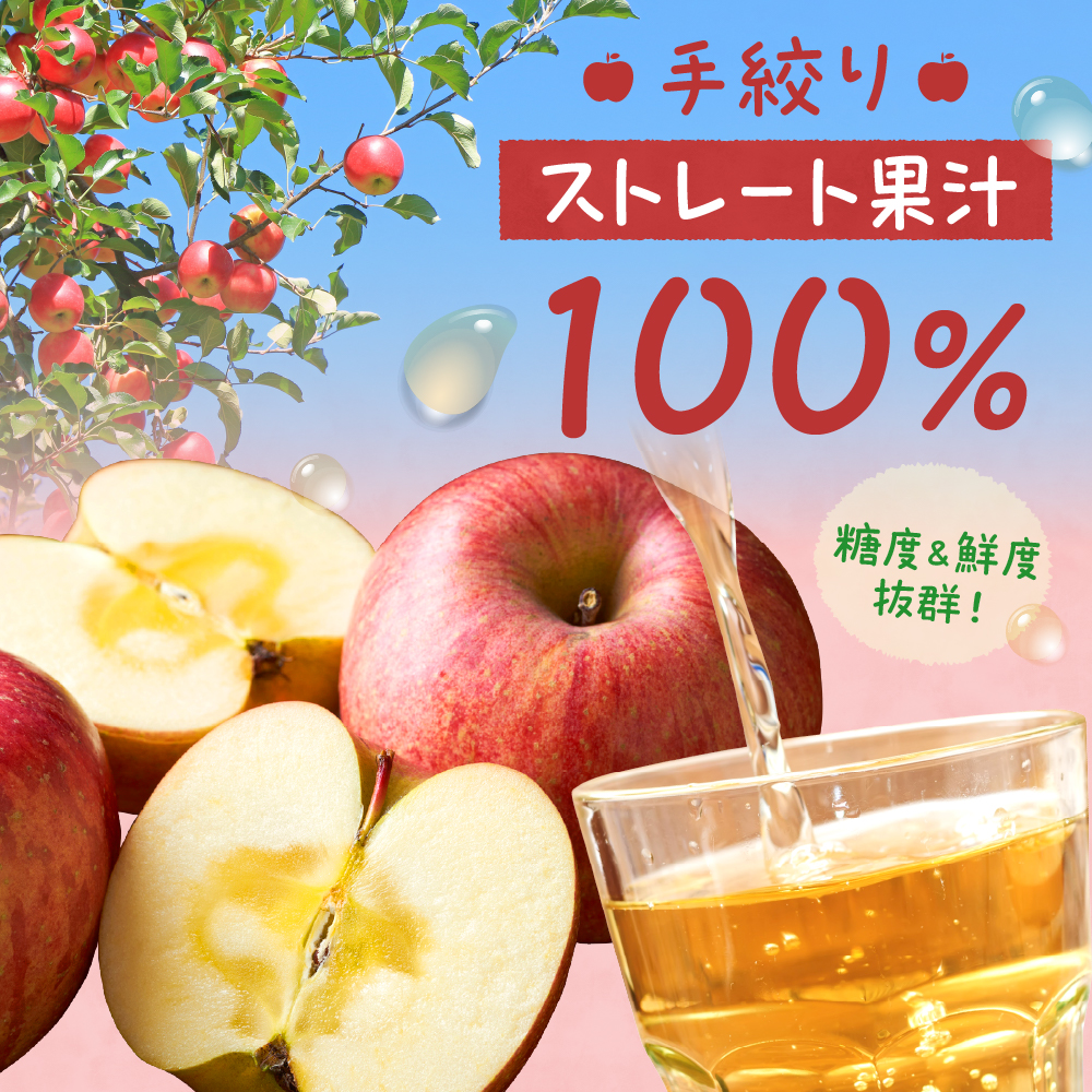 【保存料不使用・無水】手絞りりんごジュース（1L×3本）セット ka019-012m001