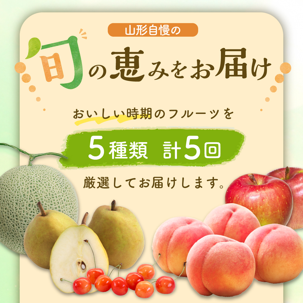 ※2025年発送※【令和7年産】山形県産 5種類 旬のフルーツ定期便（計5回） さくらんぼ 桃 メロン 洋梨 りんご