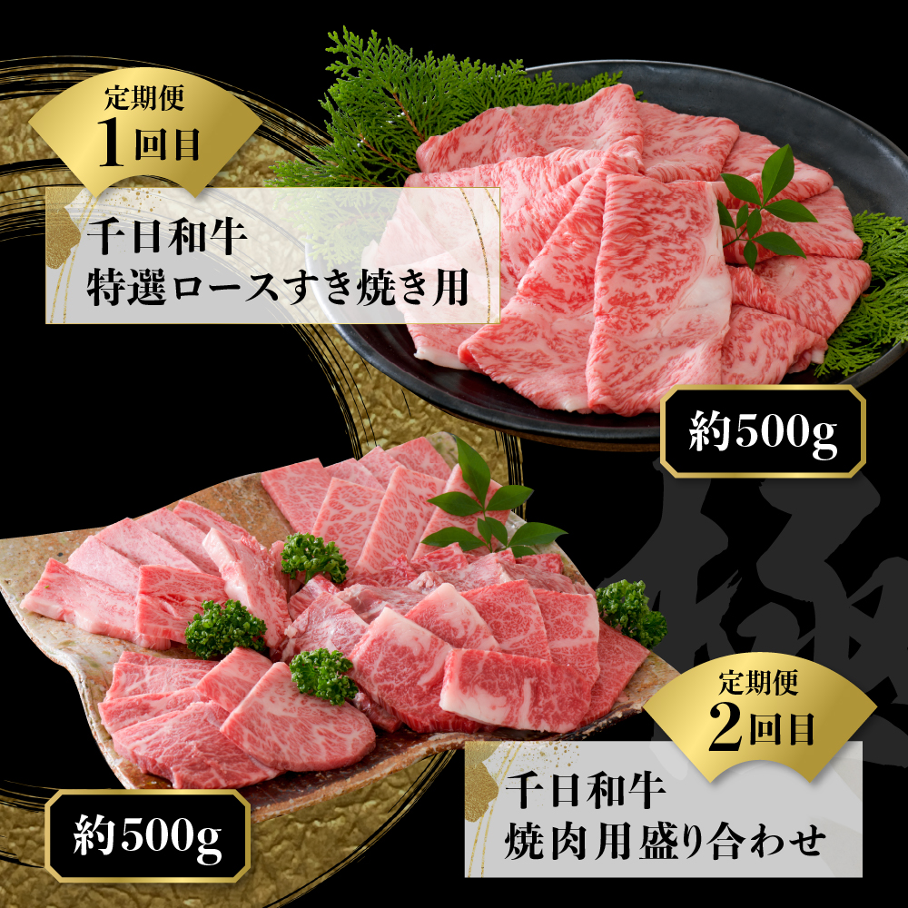 【数量限定】★肉の至宝★ 幻の山形牛【千日和牛】旨味とろける極上和牛10ヶ月定期便