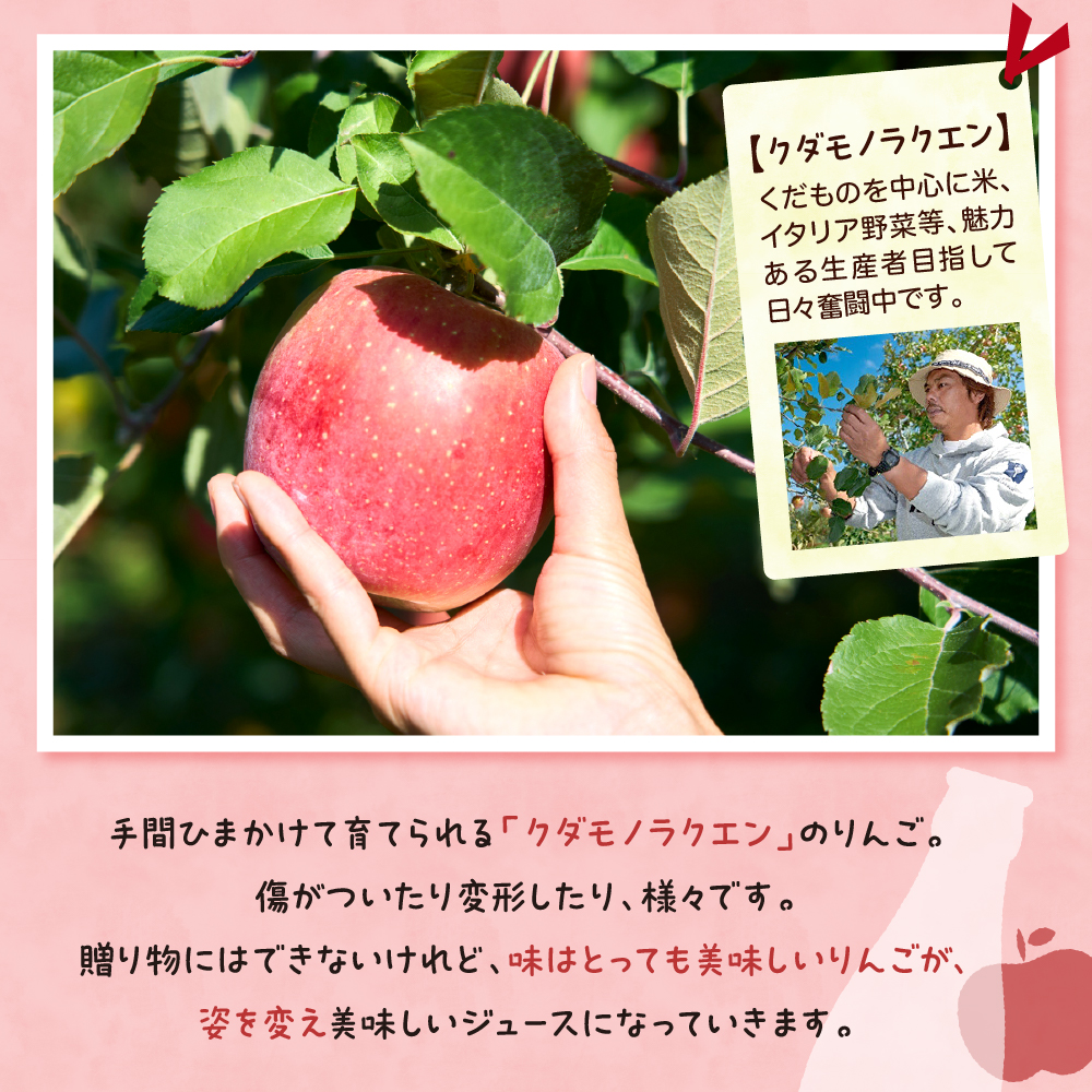 【保存料不使用・無水】手絞りりんごジュース（1L×3本）セット ka019-012m001