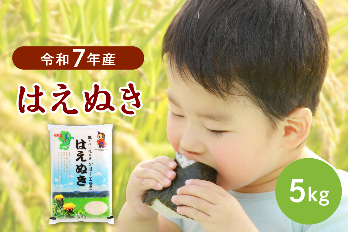 【令和7年産米】2026年3月上旬発送 はえぬき5kg 山形県産 【JAさがえ西村山】