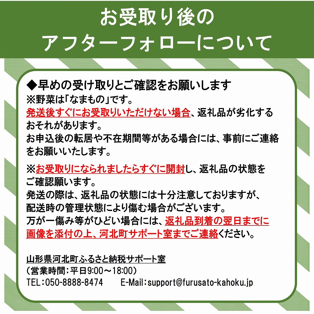 かほくイタリア野菜旬のおまかせBOX（約5〜8種類） 野菜の説明&おしゃれな料理が簡単に作れちゃうレシピ付き♪