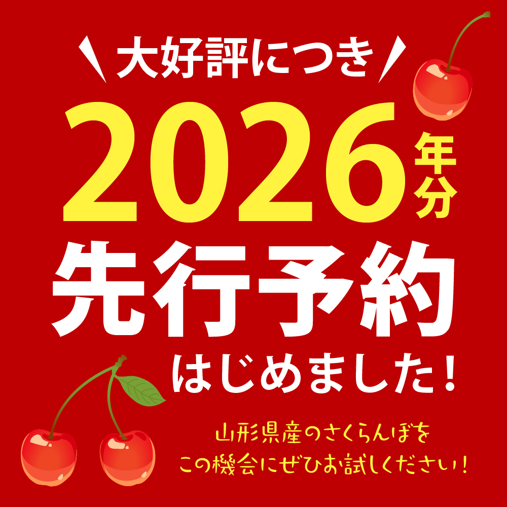 【2026年産先行予約】さくらんぼ食べ比べ2回定期便 「佐藤錦」と「紅秀峰」 各1㎏(500g×2） 山形県河北町産 【晴天畑】 さくらんぼ 贈答 ギフト 秀品 先行予約 食べ比べ 令和8年産 ka073-011