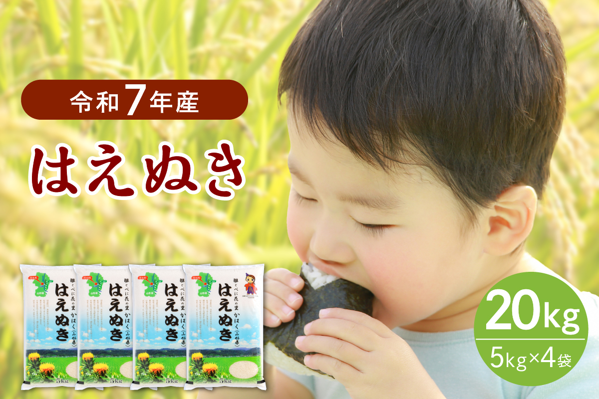 【令和7年産米】2026年3月中旬発送 はえぬき20kg（5kg×4袋） 山形県産 【JAさがえ西村山】