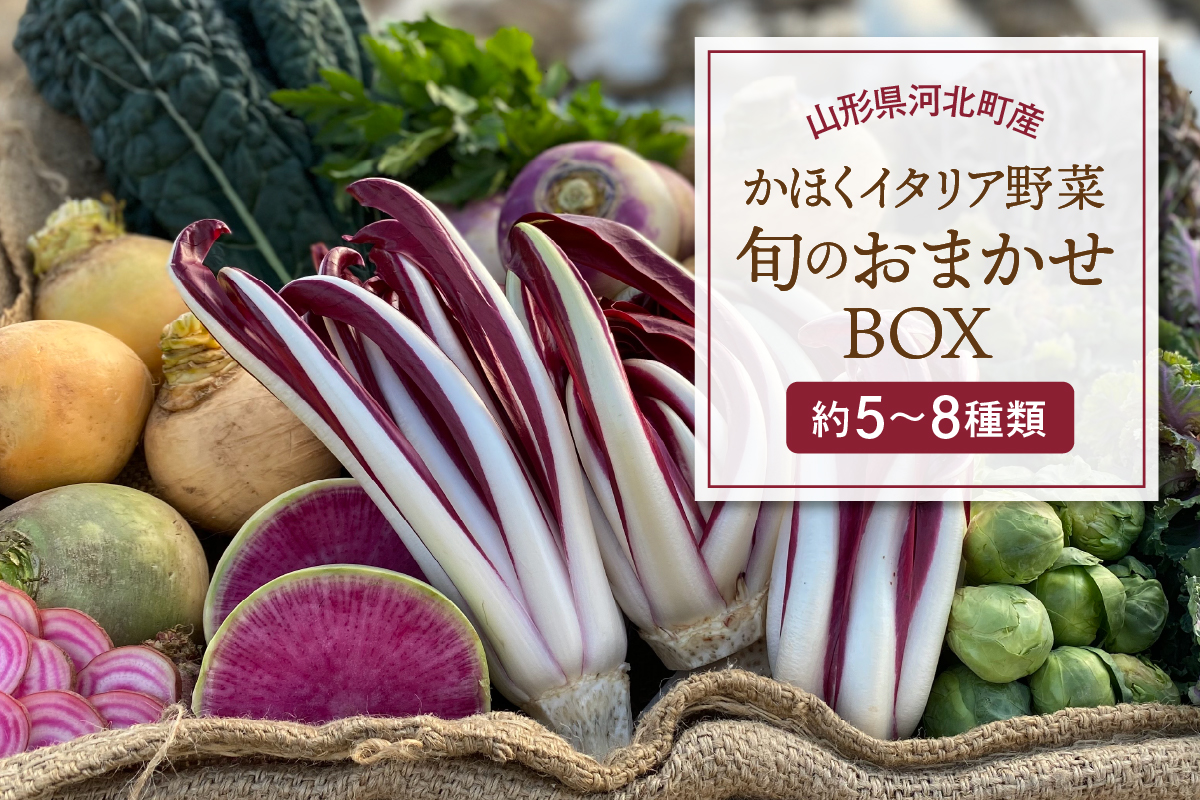 かほくイタリア野菜旬のおまかせBOX（約5〜8種類） 野菜の説明&おしゃれな料理が簡単に作れちゃうレシピ付き♪