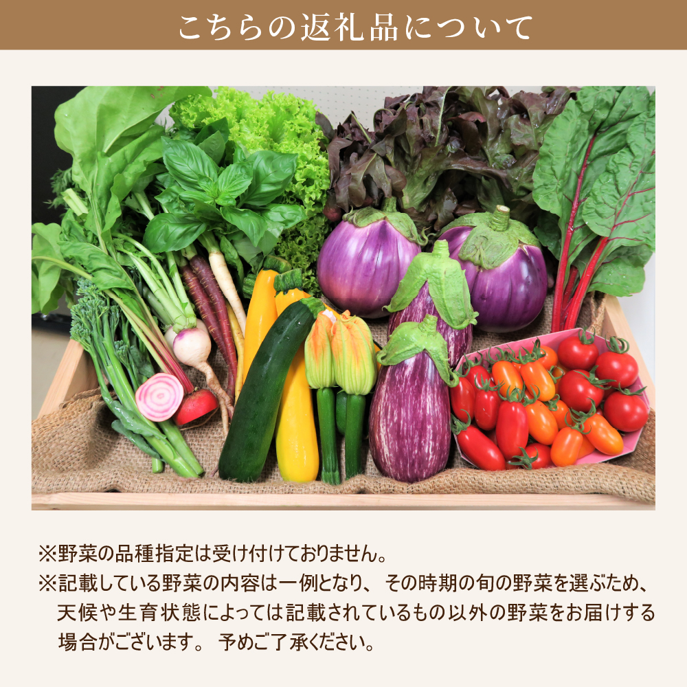 かほくイタリア野菜旬のおまかせBOX（約5〜8種類） 野菜の説明&おしゃれな料理が簡単に作れちゃうレシピ付き♪