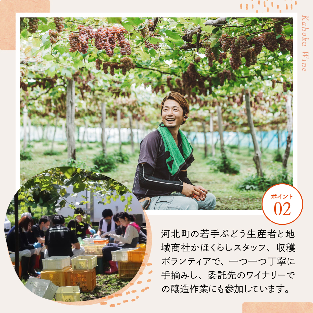 縲先イウ蛹礼伴逕」縺カ縺ゥ縺100シ菴ソ逕ィ繝サ蠕ョ逋コ豕。繝繝ゥ繧ヲ繧ァ繧「繝ッ繧、繝ウ縲船elaware 2025シ750mlテ1譛ャシ峨舌°縺サ縺上i縺礼、セ縲 繝ッ繧、繝ウ 繝繝ゥ繧ヲ繧ァ繧「 雍育ュ 100シ 繝翫メ繝・繝ゥ繝ォ繝ッ繧、繝ウ ka019-012j001-2025