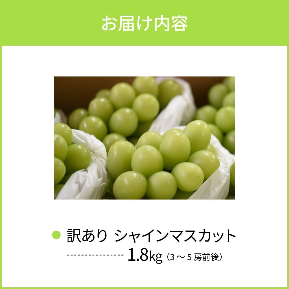 【訳あり 令和8年産】 ぶどう シャインマスカット 約1.8kg(3～5房) 山形県河北町産【山形eLab】 ka074-021-r8