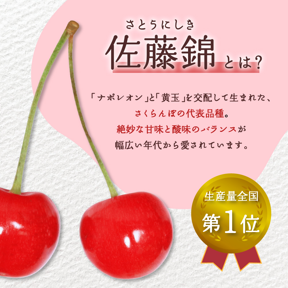 【令和7年産先行予約】さくらんぼ佐藤錦 秀L1kg以上(500gバラ詰め×2パック)山形県河北町産【晴天畑】