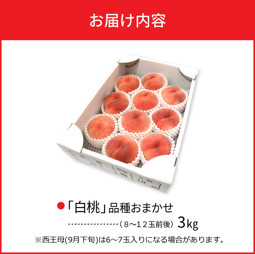 【令和8年産】白桃 品種おまかせ 3kg (8〜12玉前後) ギフト箱入 秀品 山形県産  【山形eLab】ka074-008-r8